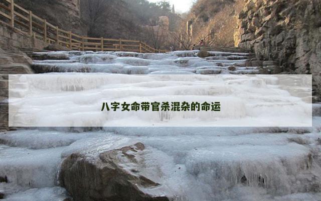 八字女命带官杀混杂的命运