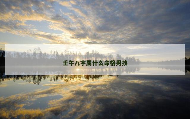 壬午八字属什么命格男孩