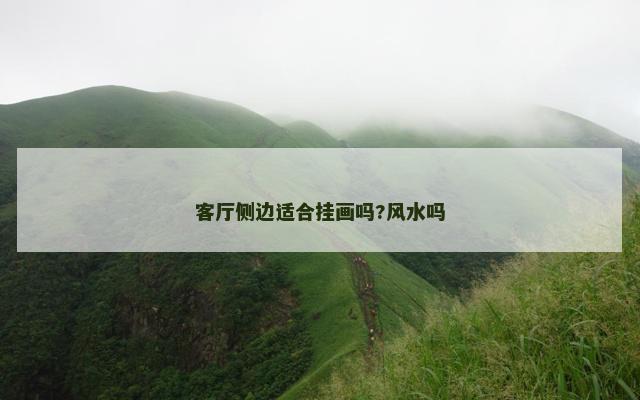 客厅侧边适合挂画吗?风水吗