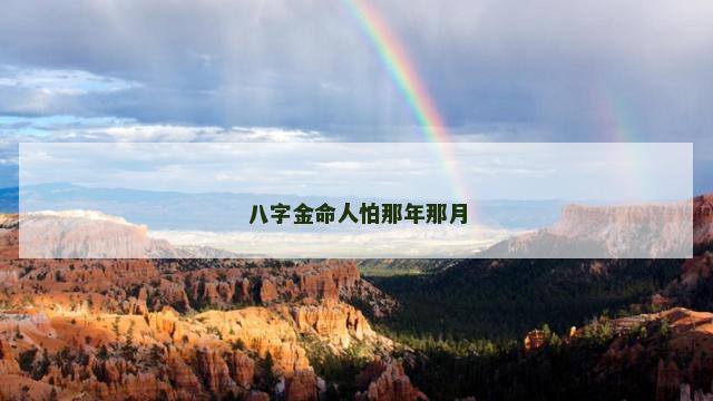 八字金命人怕那年那月