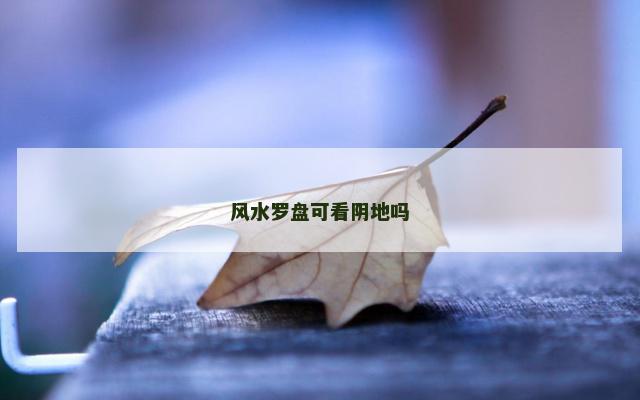 风水罗盘可看阴地吗