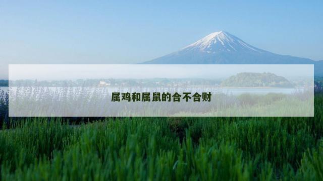 属鸡和属鼠的合不合财