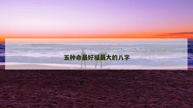 五种命最好福最大的八字