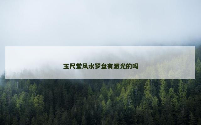 玉尺堂风水罗盘有激光的吗