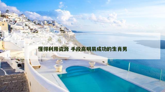 懂得利用资源 手段高明易成功的生肖男