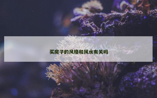 买房子的风格和风水有关吗