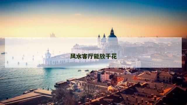 风水客厅能放干花