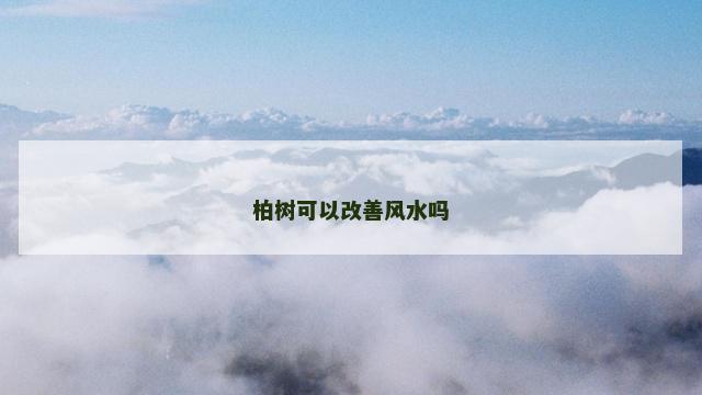 柏树可以改善风水吗