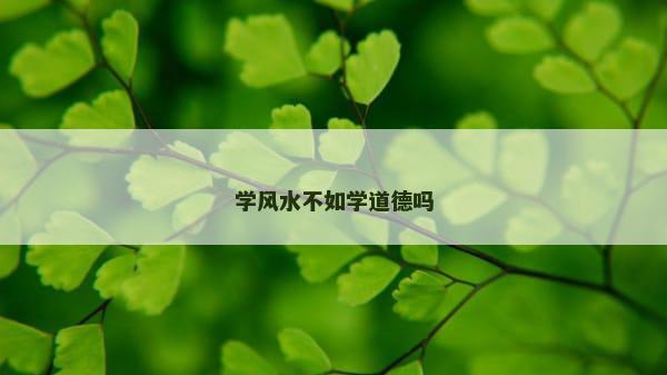 学风水不如学道德吗