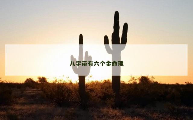 八字带有六个金命理