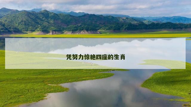 凭努力惊艳四座的生肖