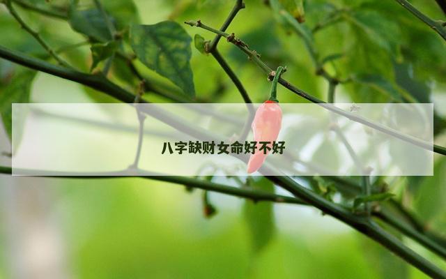 八字缺财女命好不好