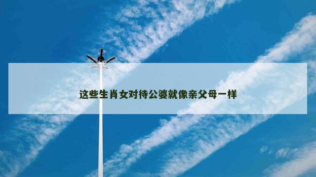 这些生肖女对待公婆就像亲父母一样