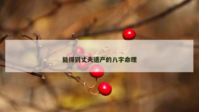 能得到丈夫遗产的八字命理