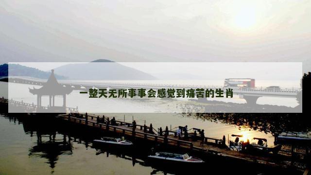 一整天无所事事会感觉到痛苦的生肖