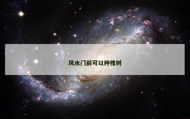 风水门前可以种槐树