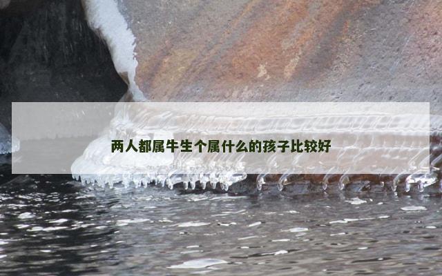 两人都属牛生个属什么的孩子比较好