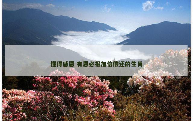 懂得感恩 有恩必报加倍偿还的生肖