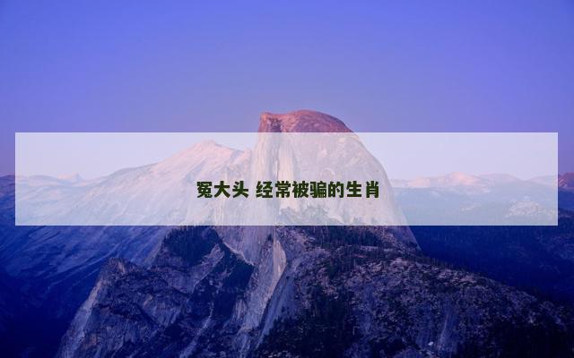 冤大头 经常被骗的生肖