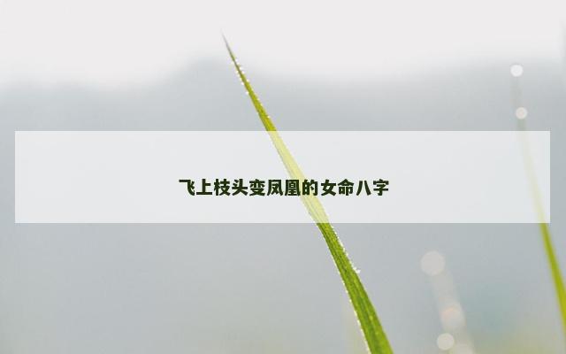 飞上枝头变凤凰的女命八字