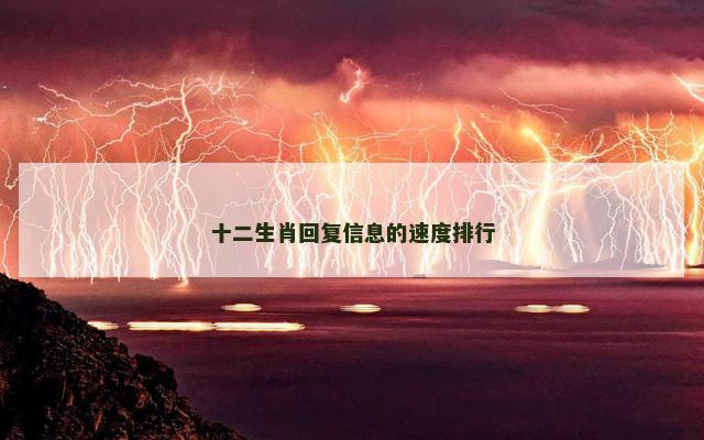 十二生肖回复信息的速度排行