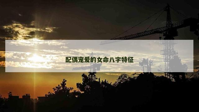 配偶宠爱的女命八字特征