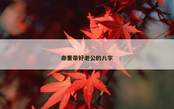 命里带好老公的八字