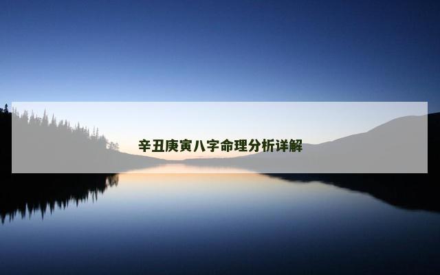 辛丑庚寅八字命理分析详解