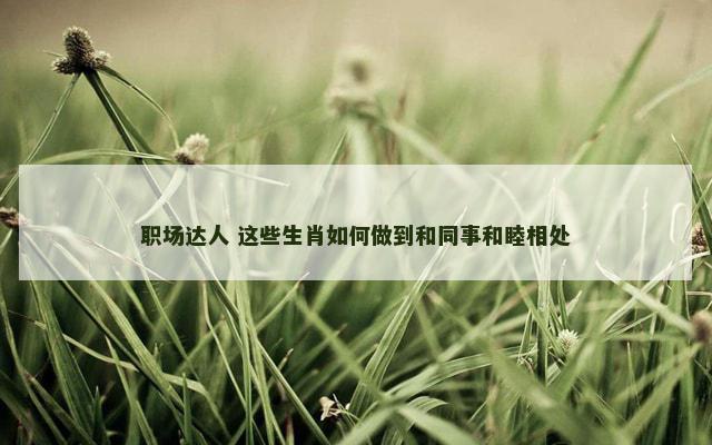 职场达人 这些生肖如何做到和同事和睦相处