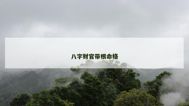 八字财官带根命格