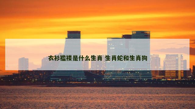 衣衫褴褛是什么生肖 生肖蛇和生肖狗