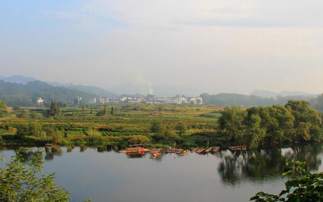 胡天胡地是什么生肖 生肖虎或生肖鼠