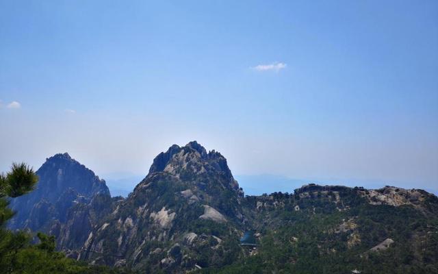 八字木命身强无土