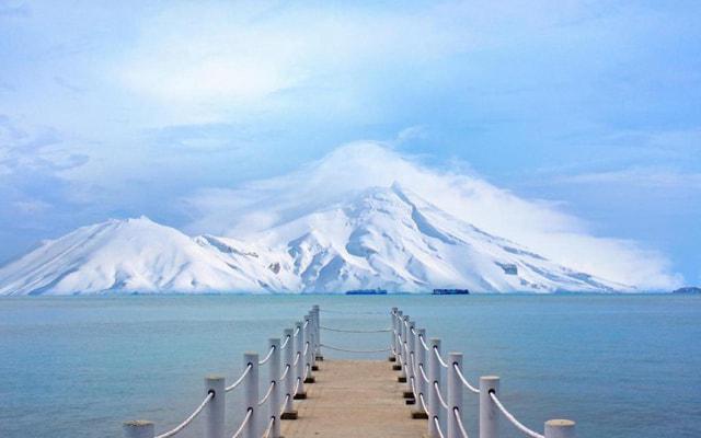 十二生肖会在哪一条道走到黑