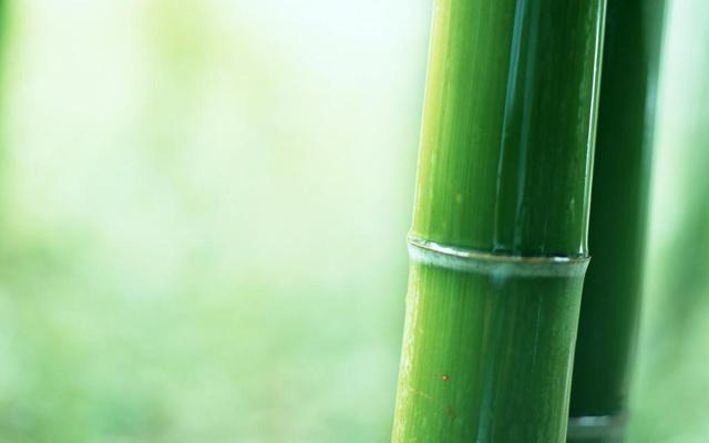 5月最能搭讪异性的属相排名