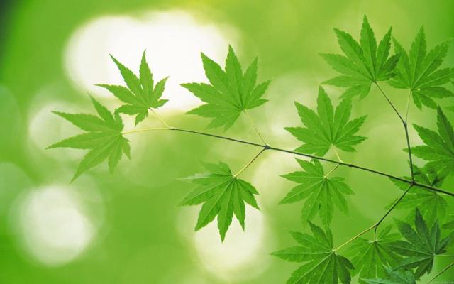 房子周边装修影响风水吗