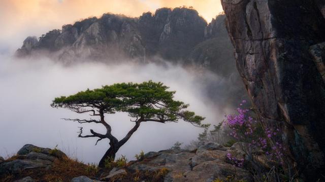 阳宅风水能影响人生吗