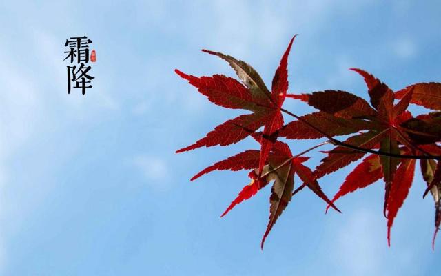 最恶生肖是什么 四大恶肖解析