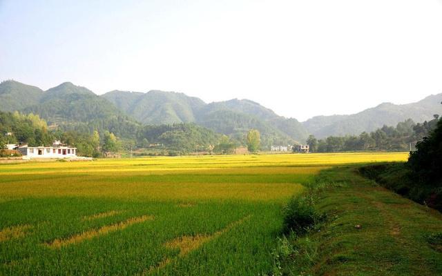 12生肖哪个属牛头马面
