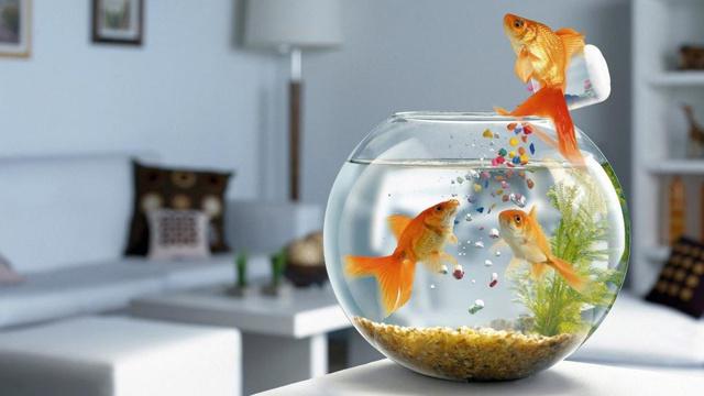 风水学没人要的伞可以拿吗