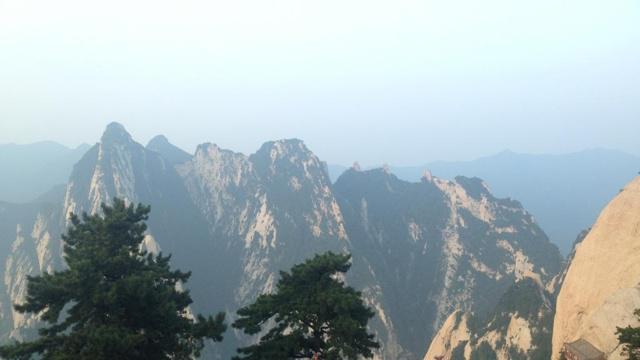 虎口余生是什么生肖 别有玄机你读懂了吗