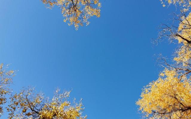 住宅风水有大门口