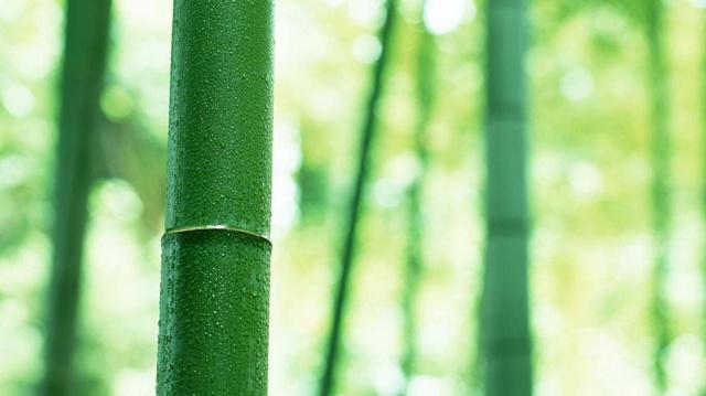 当心了 这四大生肖男的前任数量可不少