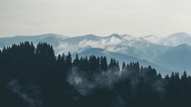12生肖女美貌排行 第一名副其实!