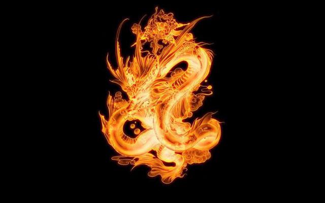十二生肖为什么没有大象这个属相 原来真相是...