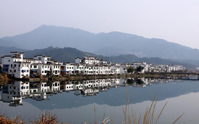 在职场中非常消极 只会叹息的生肖