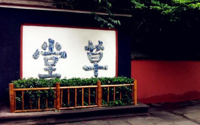 绿萝可以放洗手间吗?风水吗