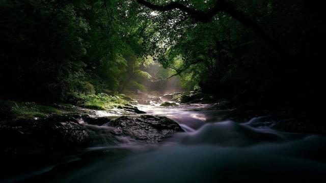 家里乱对风水影响吗