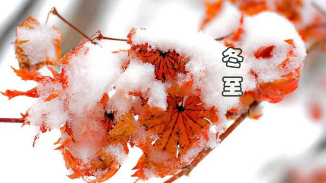 属虎和属兔的人一家人有没冲突 彼此理解互相迁就
