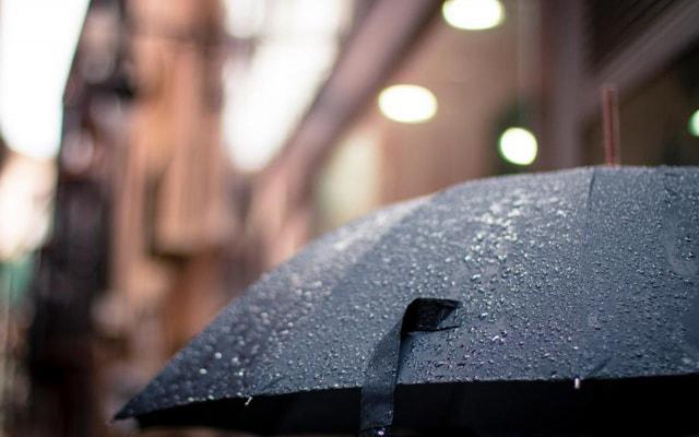 我是学霸 不参透知识点决不停歇的生肖